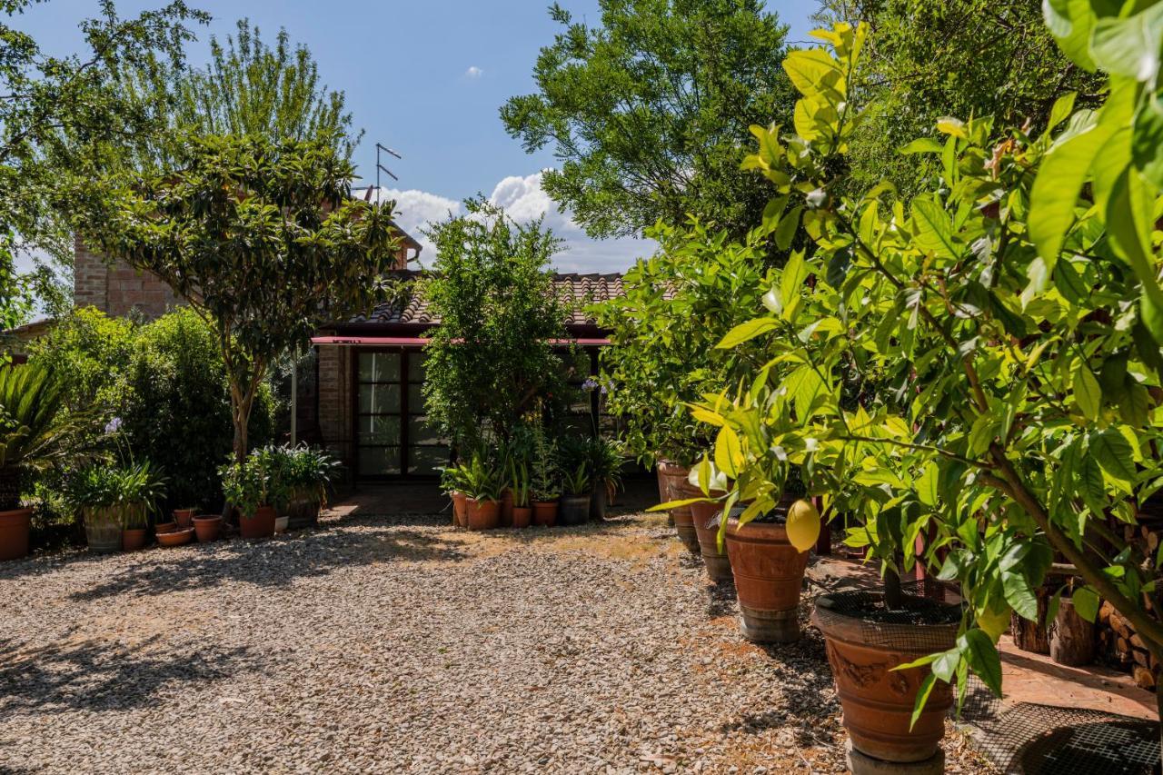 Casa Vignacce Villa Marciano della Chiana Exterior photo