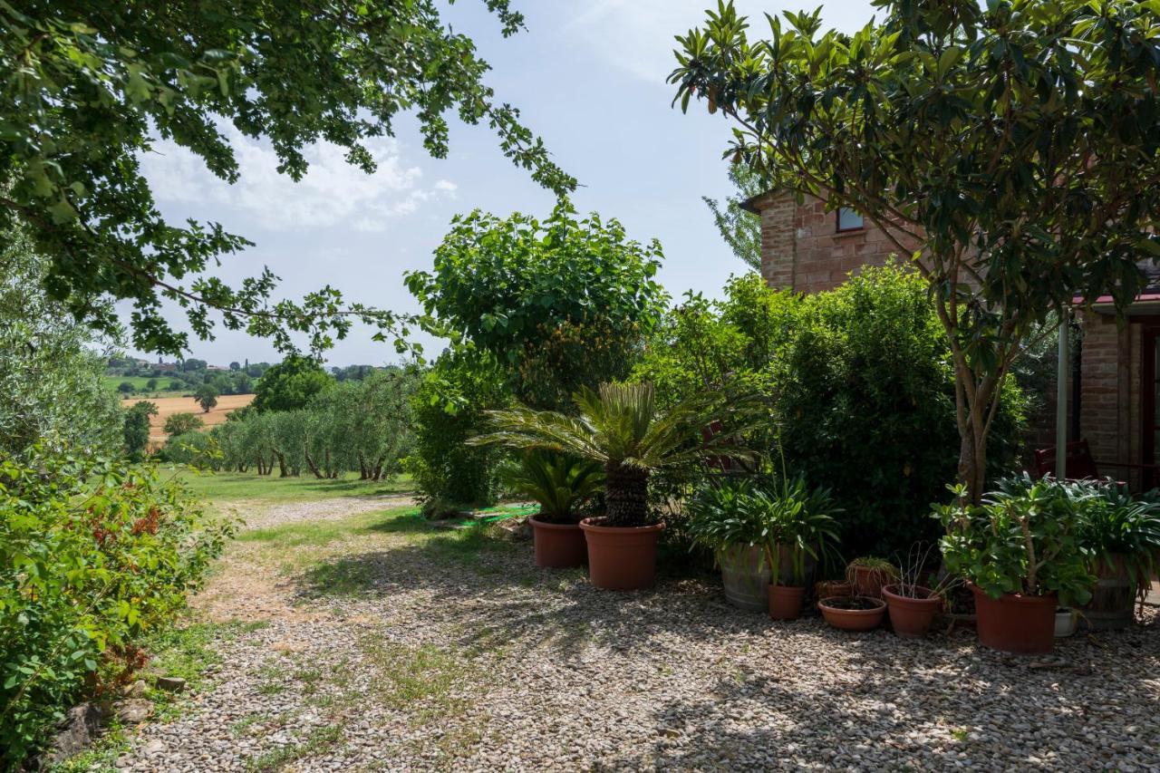 Casa Vignacce Villa Marciano della Chiana Exterior photo