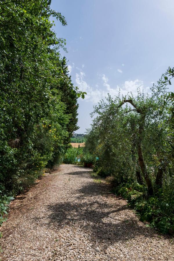 Casa Vignacce Villa Marciano della Chiana Exterior photo